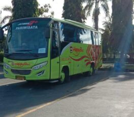sewa bus jogja
