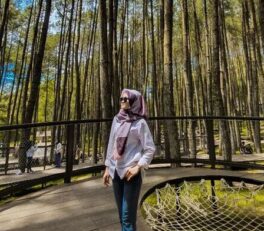 hutan pinus mangunan-Happy Tour